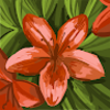 lily_seay